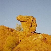 Aase M (@mesaa) 's Twitter Profile