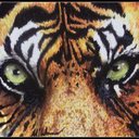 Art of Al' Warner - @ArtofAlWarner - Twitter