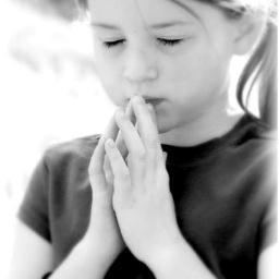 amal_safwat's profile picture. 