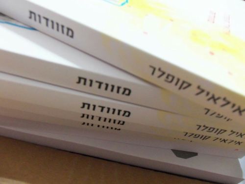 ililkofler's profile picture. 