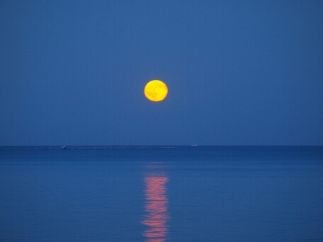 victorp31370459's profile picture. 