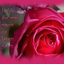 follow me 
I love you xx