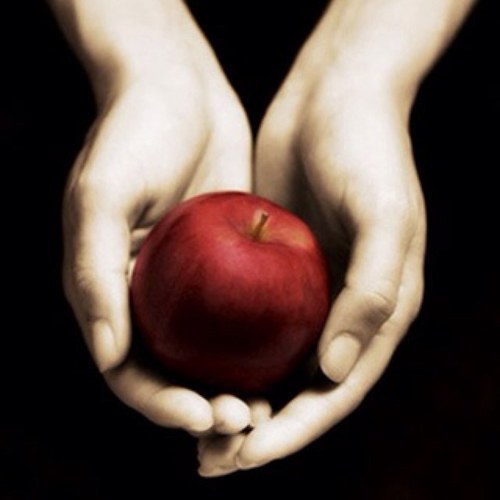 Always0Twilight's profile picture. 'So the lion fell in love with the lamb' - Edward Cullen. 
'What a stupid lamb' - Bella Swan
'What a sick machositic lion.'- Edward Cullen