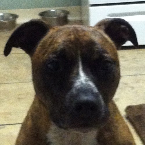 mkraynak0311's profile picture. 