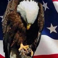 Bryan Dush (@bryandush) 's Twitter Profile