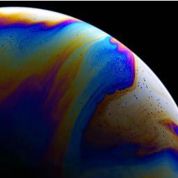 StarChomper's profile picture. 