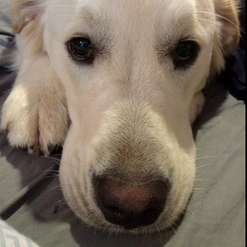 johnkroesser's profile picture. 