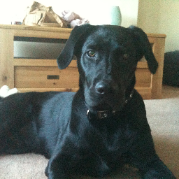 mikebaxto84's profile picture. 