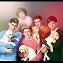 5Boys, 1Staircase (@5Boys_1Uncle) Twitter
