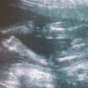 Jen Mayer - @2009momjen - Twitter