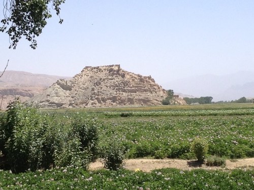 miguellanzas2's profile picture. 