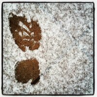 Xevi Martinez Lladó (@xmartinezllado) 's Twitter Profile Photo