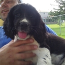 John Sole - @JohnSole23 - Twitter