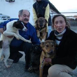 We need your signature 'Justice For Tereza S. & the 120 dogs + cats who perished in the flames of Cluj' Romania.
Sign our petition and help us get Justice.