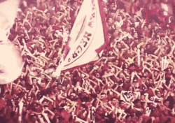 FLAMENGO