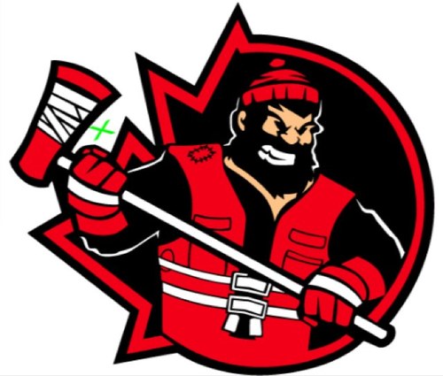 SafetyHockey's profile picture. 