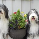 don Holt - @djholt26 - Twitter