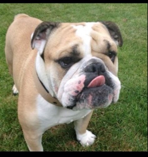 mikeb5299's profile picture. 