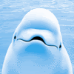 @Beluga2Whale