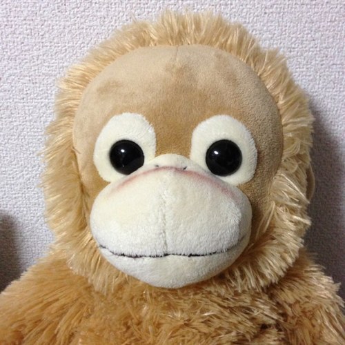 years0611's profile picture. 