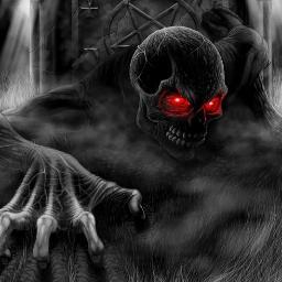 fox565's profile picture. 