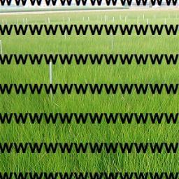 TLに草を植えるbotですｗｗｗｗｗｗｗｗｗｗｗｗｗｗｗｗｗｗｗｗｗｗｗｗｗｗｗｗｗｗｗｗｗｗｗｗｗｗｗｗｗｗｗｗｗｗｗｗｗｗｗｗｗｗｗｗｗｗｗｗｗｗｗｗｗｗｗｗｗｗｗｗｗｗｗｗｗｗｗｗｗｗｗｗｗｗｗｗｗｗｗｗｗｗｗｗｗｗｗｗｗｗｗｗｗｗｗｗｗｗｗｗｗｗｗｗｗｗｗｗｗｗｗｗｗｗｗｗｗｗｗｗｗｗｗｗｗｗｗｗｗｗｗｗｗｗｗ