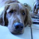 Beth Mink - @Beth57Beth - Twitter