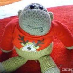 mottyj106's profile picture. 