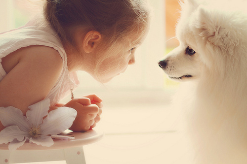 Well..!! a simple person, luv being happy alwazz!! luv pets..esp dogs!! adventurous bike rider(LOL)..!! kill time reading books, browsin!!