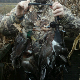 Just the average hunter/outdoorsman! Very passionate for ducks!