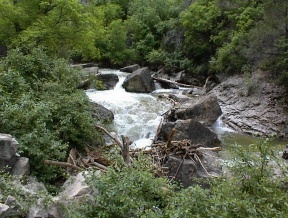 BTwigg's profile picture. Author of The Stimulus Tragedy. Small Businessman. Blogger. Pen Name Branch Twigg