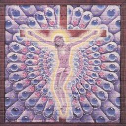 ph3arweb2's profile picture. High Contrast Grey-Hat