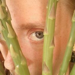 RebRobs's profile picture. Writer, editor, journalist, Portlander. Author, Bears Ears Country (out spring '18 from @AZPress & @GFTPublishing). Formerly/always a Californian & Vermonter.