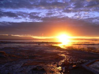 towhen's profile picture. 