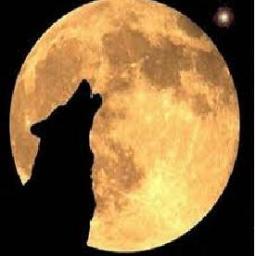 ellobonoduerme's profile picture. El lobo no duerme... Descansa