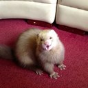 paul snelling - @paul_snelling - Twitter