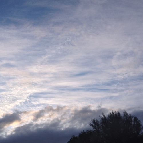 Lululoouk's profile picture. 