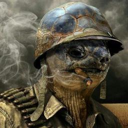 turtlegunners's profile picture. #AMERICA #Liberty #Freedom #Patriot #NRA #MolonLabe #Turtles