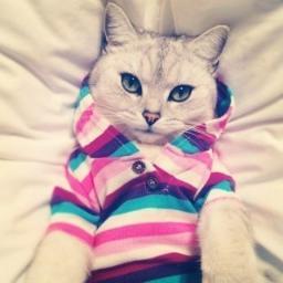 wfhmqff's profile picture. 