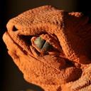 Ted Rees - @tedrees - Twitter