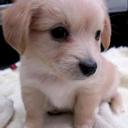 Marlene smith - @Perez62Perez - Twitter