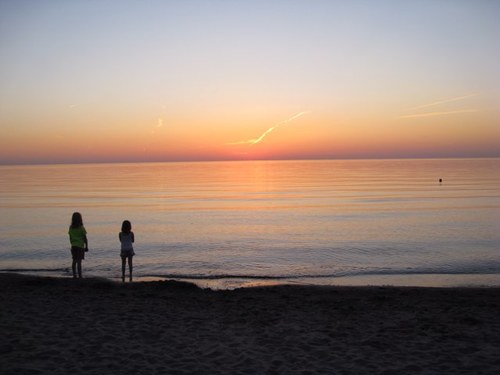 Tamar_Magnolia's profile picture. 