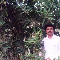 sirajbhim's profile picture. 