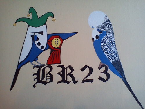 schilduil's profile picture. https://t.co/Xpmsl2dwv2
Budgerigar breeder from Belgium - band code BGC BR23 - partnership SBR1