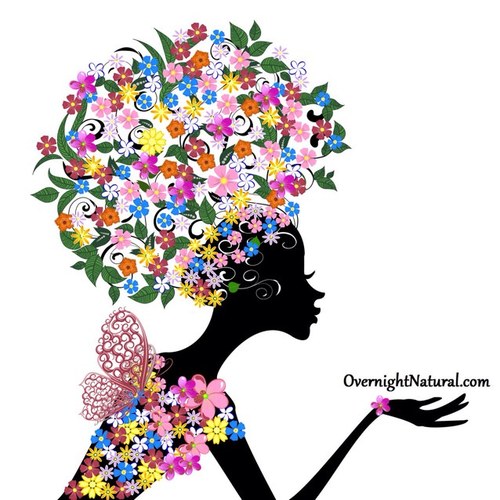 http://t.co/WWqT2vOe is a box service specializing in bringing Natural hair, health and body care products from top quality businesses directly to you.