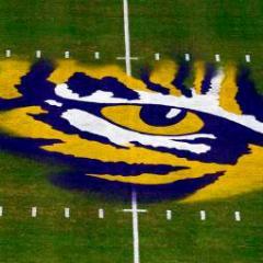 STW4LSU's profile picture. 