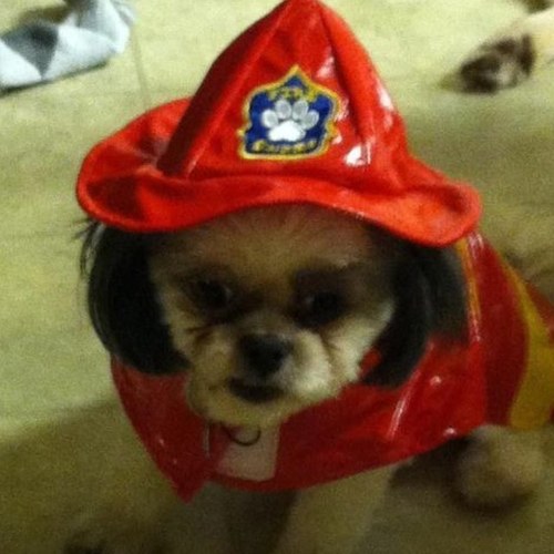 JenQuinn05's profile picture. 