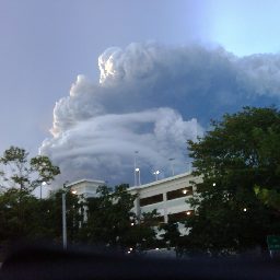 EcoDigni's profile picture. Devolution. 
Granting power to the community.
http://t.co/3GacmaO0
Ecological Dignity Daily Paper http://t.co/xvA1g52H
#ecologicaldignity