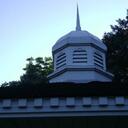 dani sutton - @hawthorneinred - Twitter