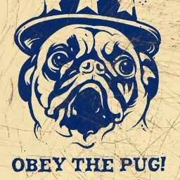 yulianmaicol's profile picture. Taco connoisseur